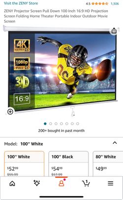 Projector Screen 100”