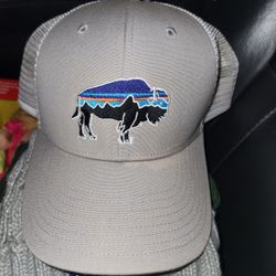 Patagonia Hat