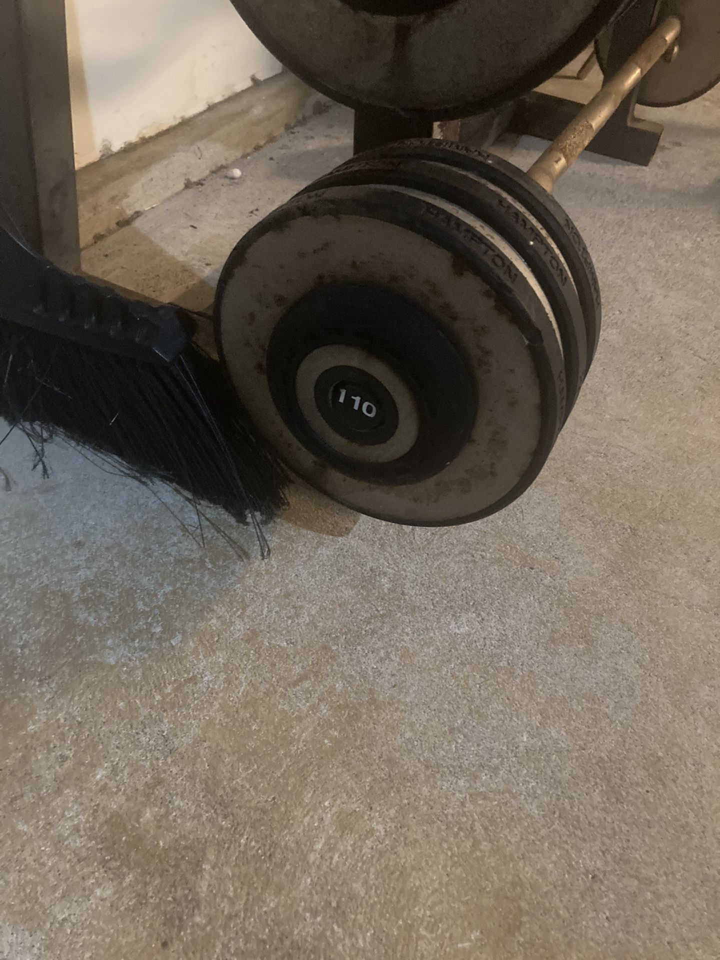 110lb Curling Bar