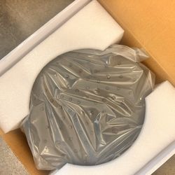 Delta Raincan Shower head