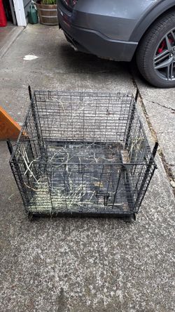 Bunny cage