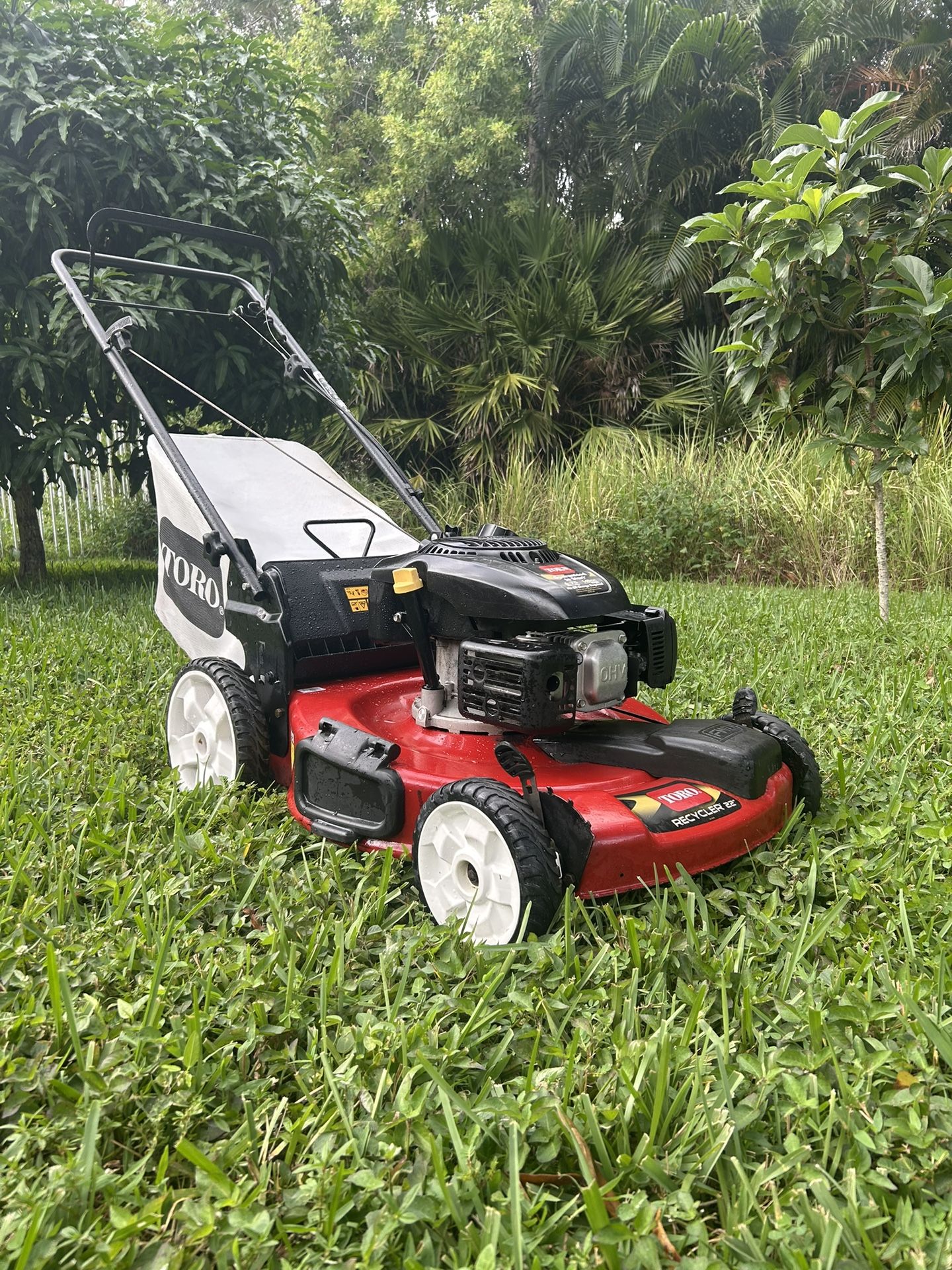 Nice Toro Self Propelled Lawn Mower