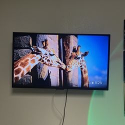 40 inch Insignia TV & Wall Art 