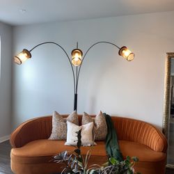Urban Outfitters Terracotta Velvet Couch With Throw Pillows 