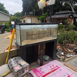 Fish tank free