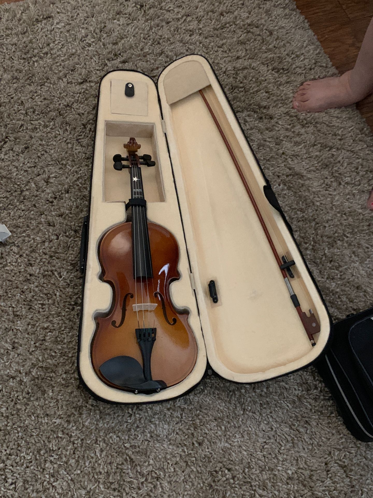 Violin