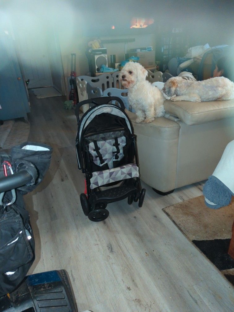 Reduced To:✅💲 25 DLLS ✅💲65 OBO BABY STROLLER XLNT COND 💲65 OBO 