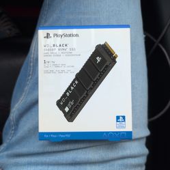 1TB SSD PS5