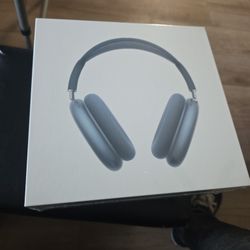 Apple Air Max Blue USB-c Headphones 