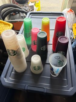 Starbucks Cups