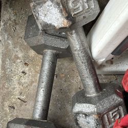 15 Lb Pound Steel Weights