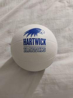 Hartwick Hawks Mini Foam Basketball