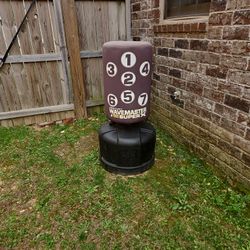 Punching Bag