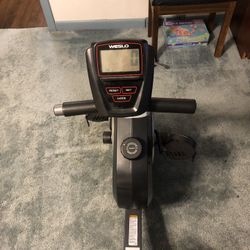 Recumbent Bike 