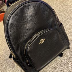 Coach Large Court Backpack 