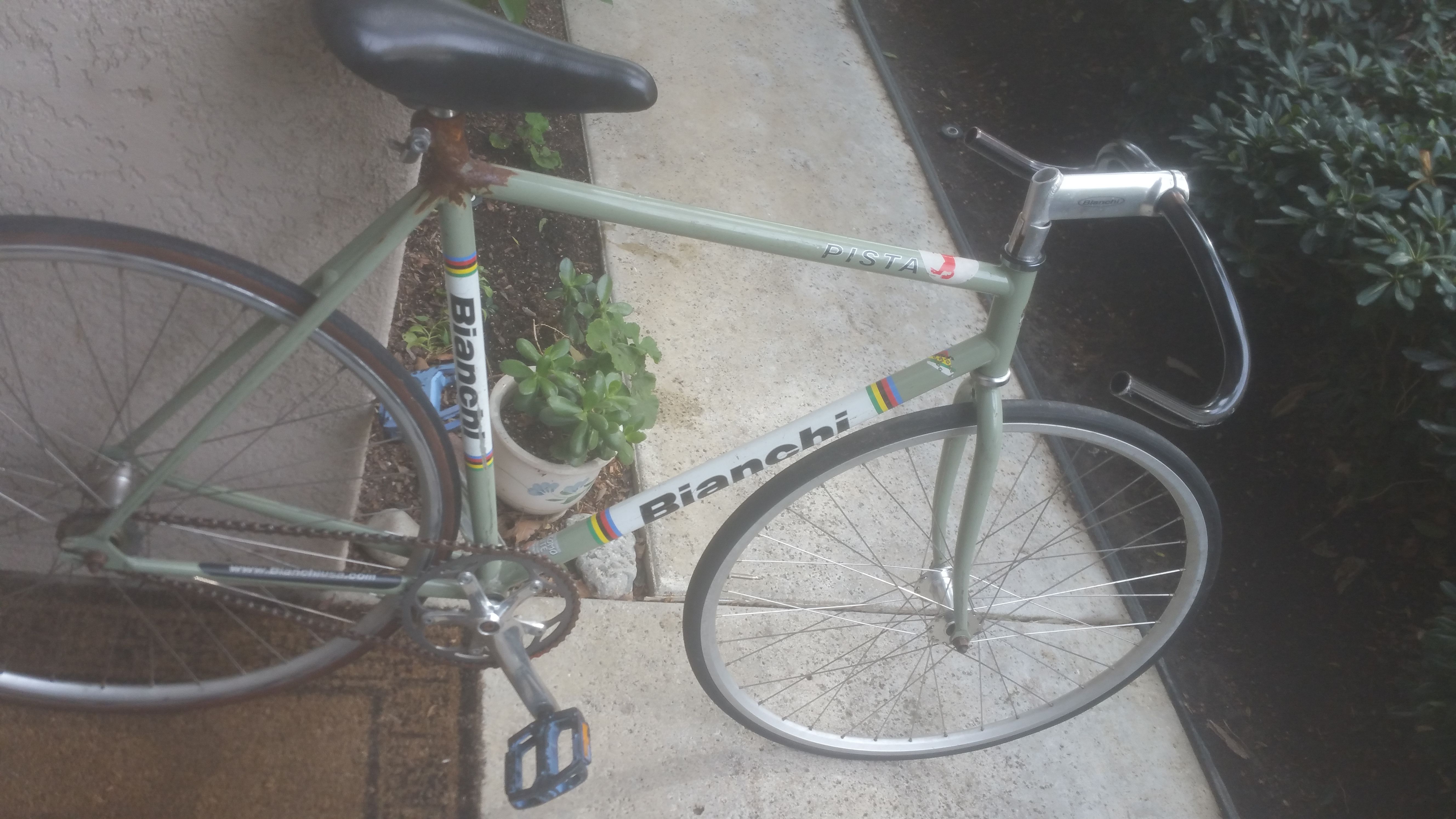 Rare gang green Bianchi pista / single speed track bike / fixie