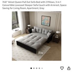 Pull out Sofa Sleeper