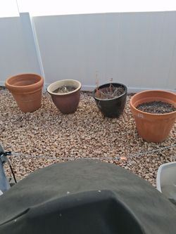 Plant pots 6