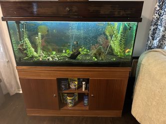 Large fish tank (66 Gallons) With stand, Including all equipment and live fish
