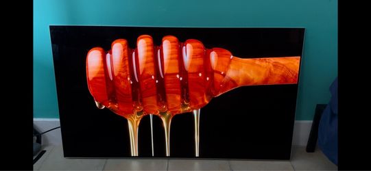 LG Oled 55 inch TV