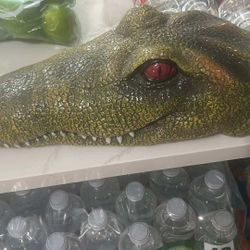 Alligator Fish tank Oxygen Bubbler