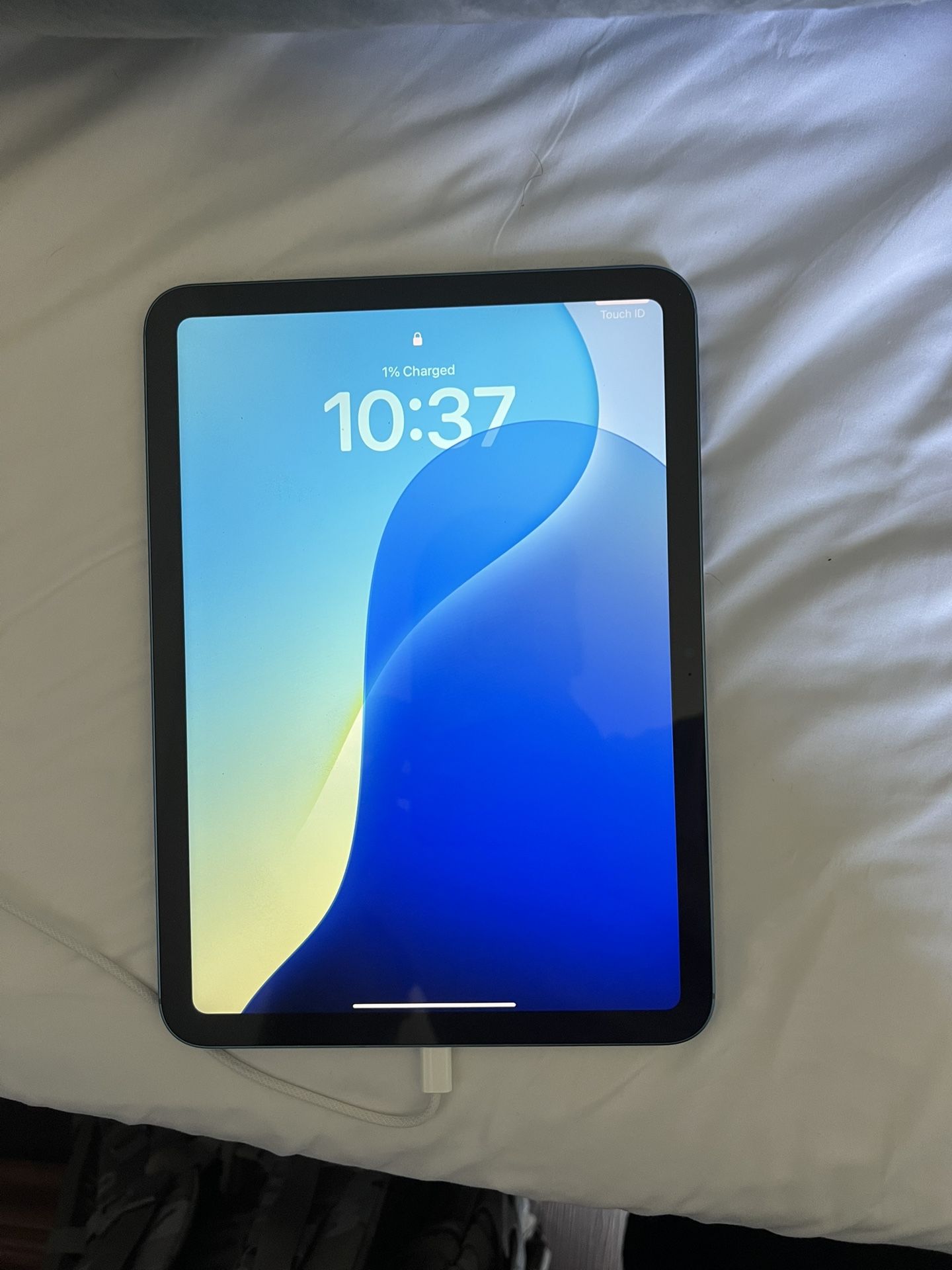 iPad