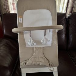 Baby Delight Bouncer Chair