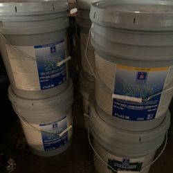 Paint And Primer - Need Gone - $100 Per 5 Gallons - Message For Details 