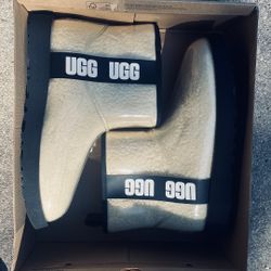 UGG (Size 8 Women)