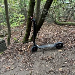 Turbo Ant X7 36 Volt Scooter