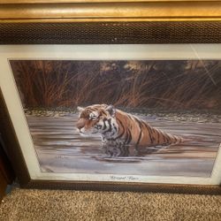 A Bingo Tiger Picture For Sale