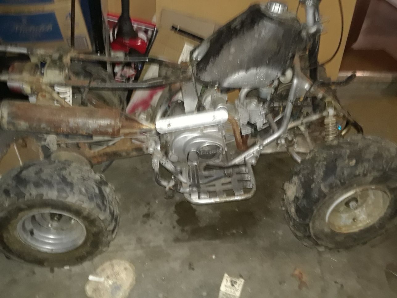 Two different 4 weelers neither got the plastics for 1