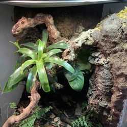 Enclosure Lights and  Accessories