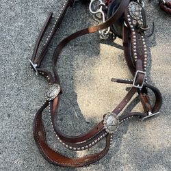 Equine Tack Luans Leather $130