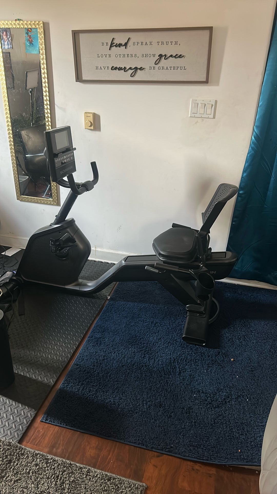 Schwinn Exercise Bike