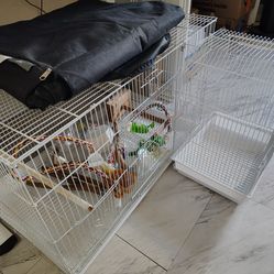 1(10x16) 1(18x30)Bird cage with cover & all accessories