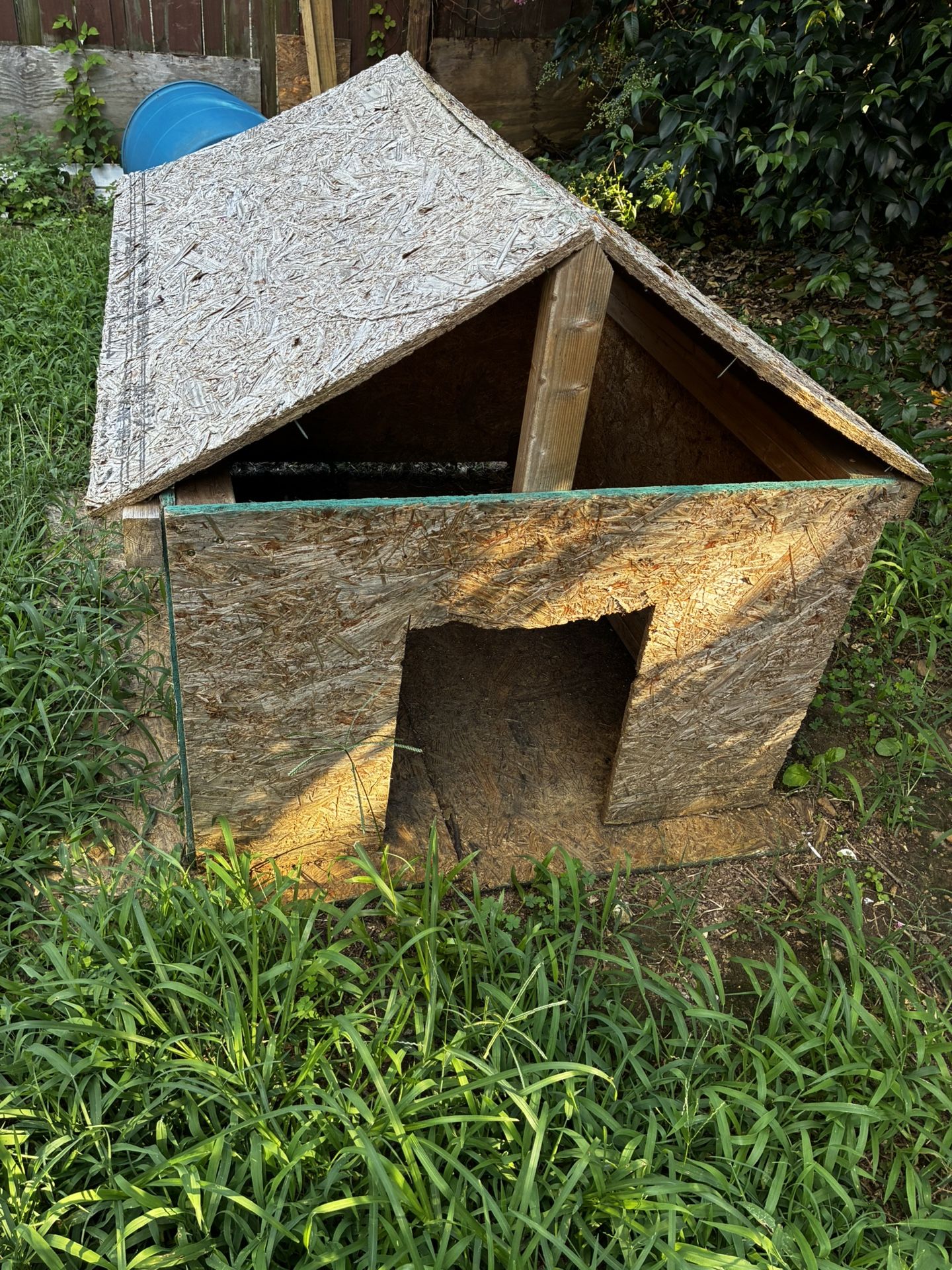 Handmade Dog House