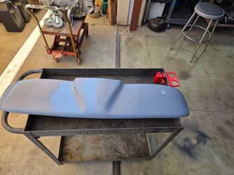 Bug sun visor