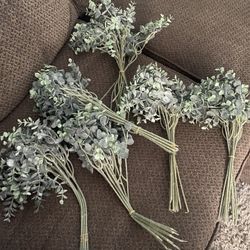 60 Pc  Eucalyptus Stems