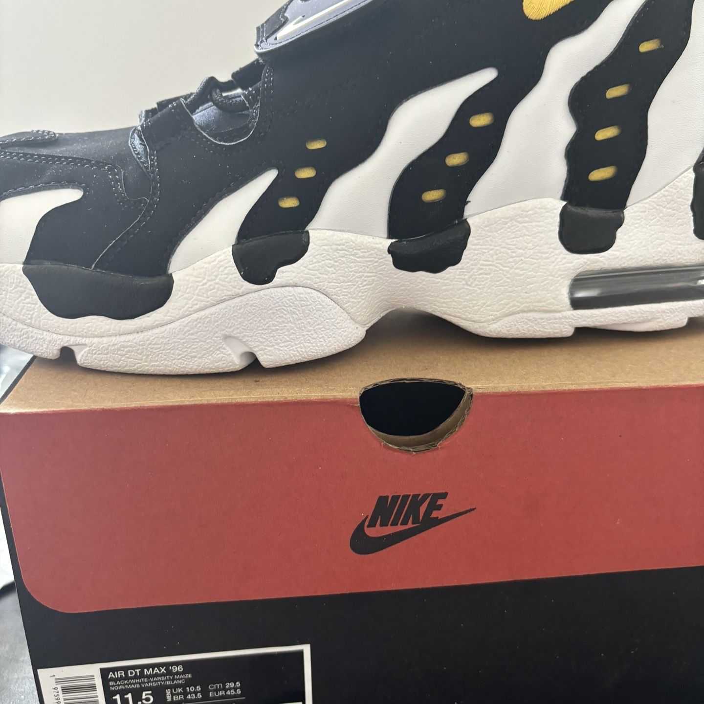 2024 Air DT Max ’96 'Black White + Deion Sanders X Nike Hoodie