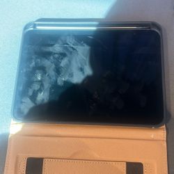 iPad Mini gray