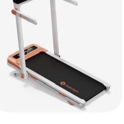 Deer Run Indoor Treadmill