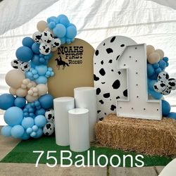 Balloon Garland