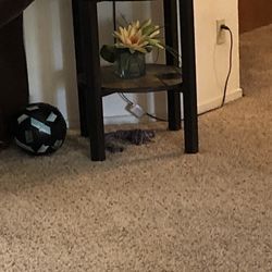 End Table 