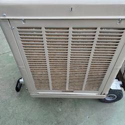 Swamp cooler champion 3000 cfm
