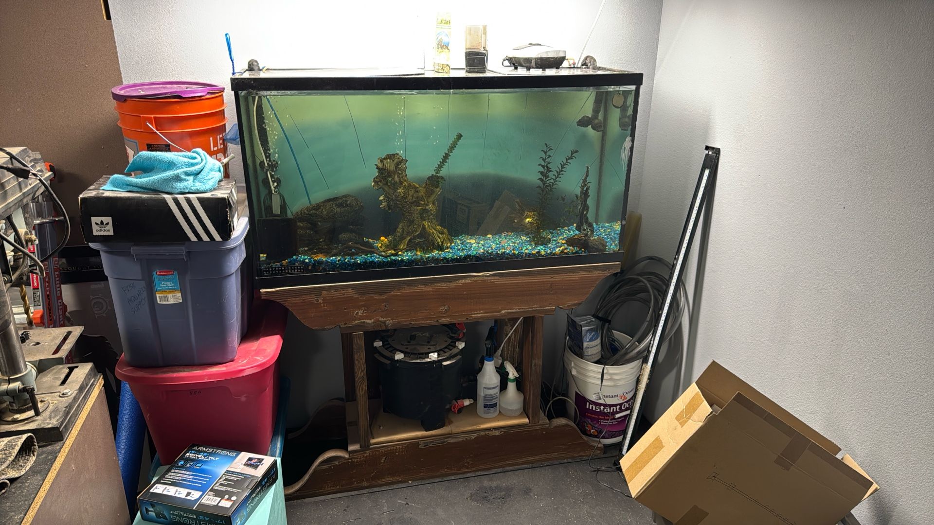 65 Gallon Tank Set Up