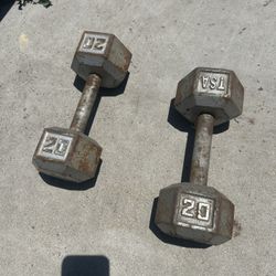 20 Pound Dumbbells 