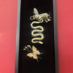 Framed Snake And Butterfly Taxidermy 