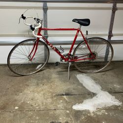 Trek Bike