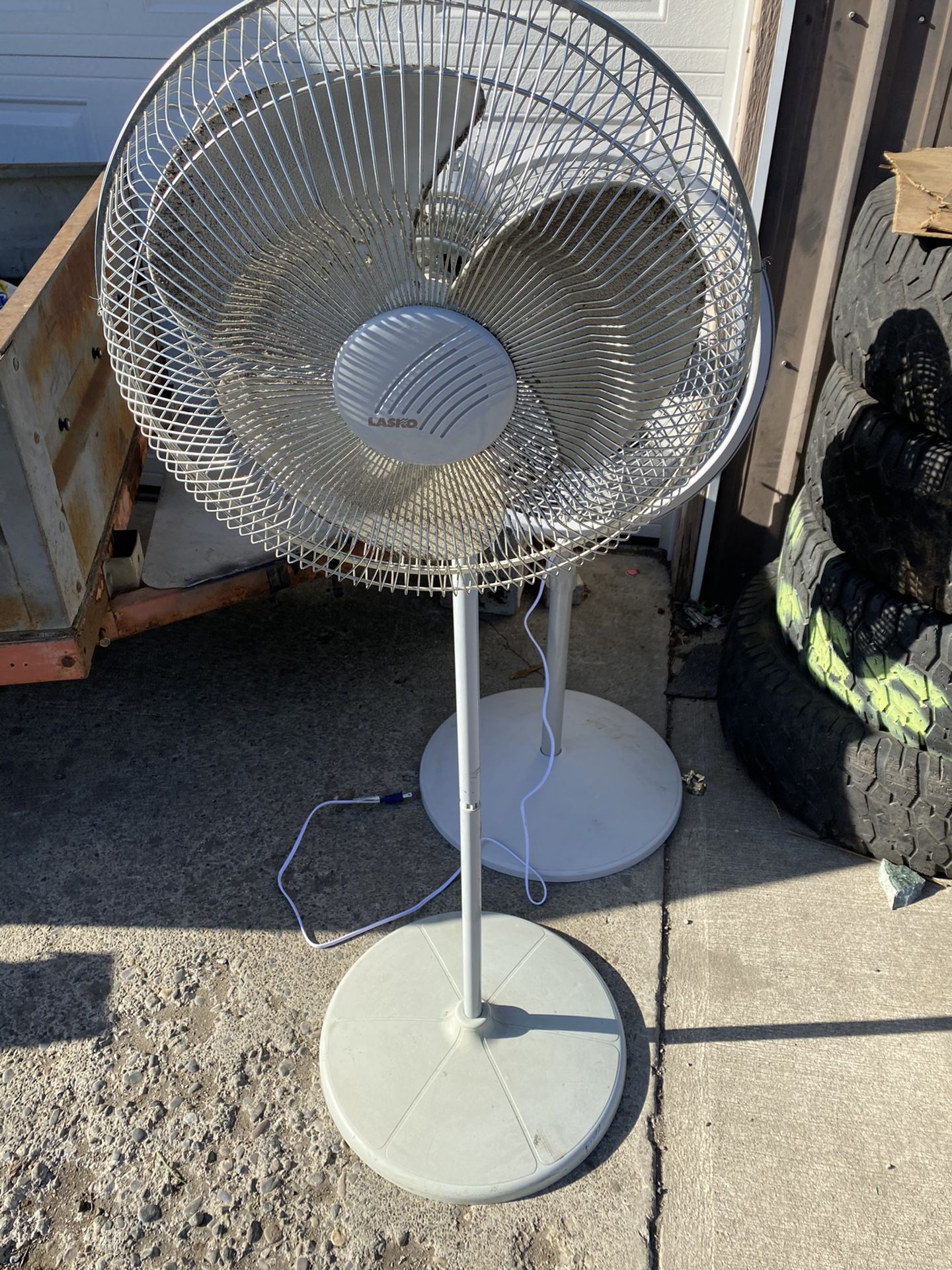 Fan